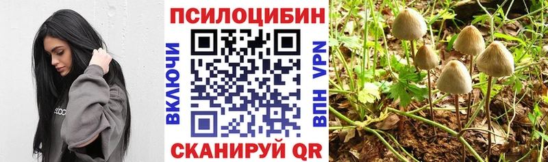 Галлюциногенные грибы Cubensis  закладки  Лыткарино 